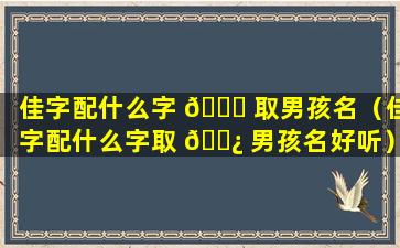 佳字配什么字 🐞 取男孩名（佳字配什么字取 🌿 男孩名好听）